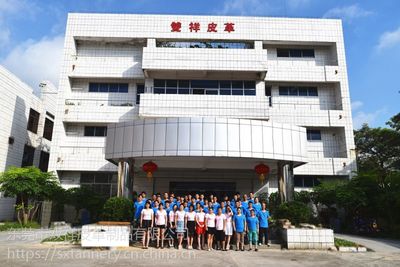 十字紋牛仔布紋高固羊巴PU 環保高檔鞋材箱包面料的理想選擇